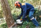 Clydesdale VICtree-felling-services-21.jpg; ?>