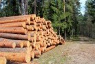 Clydesdale VICtree-felling-services-31.jpg; ?>
