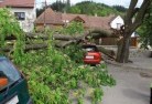 Clydesdale VICtree-felling-services-41.jpg; ?>